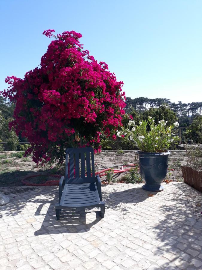 Plage Et Foret Pobral 外观 照片